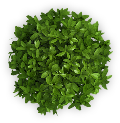 choose-organic-section